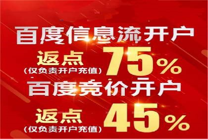 深度解析：百度推广的营销效果案例